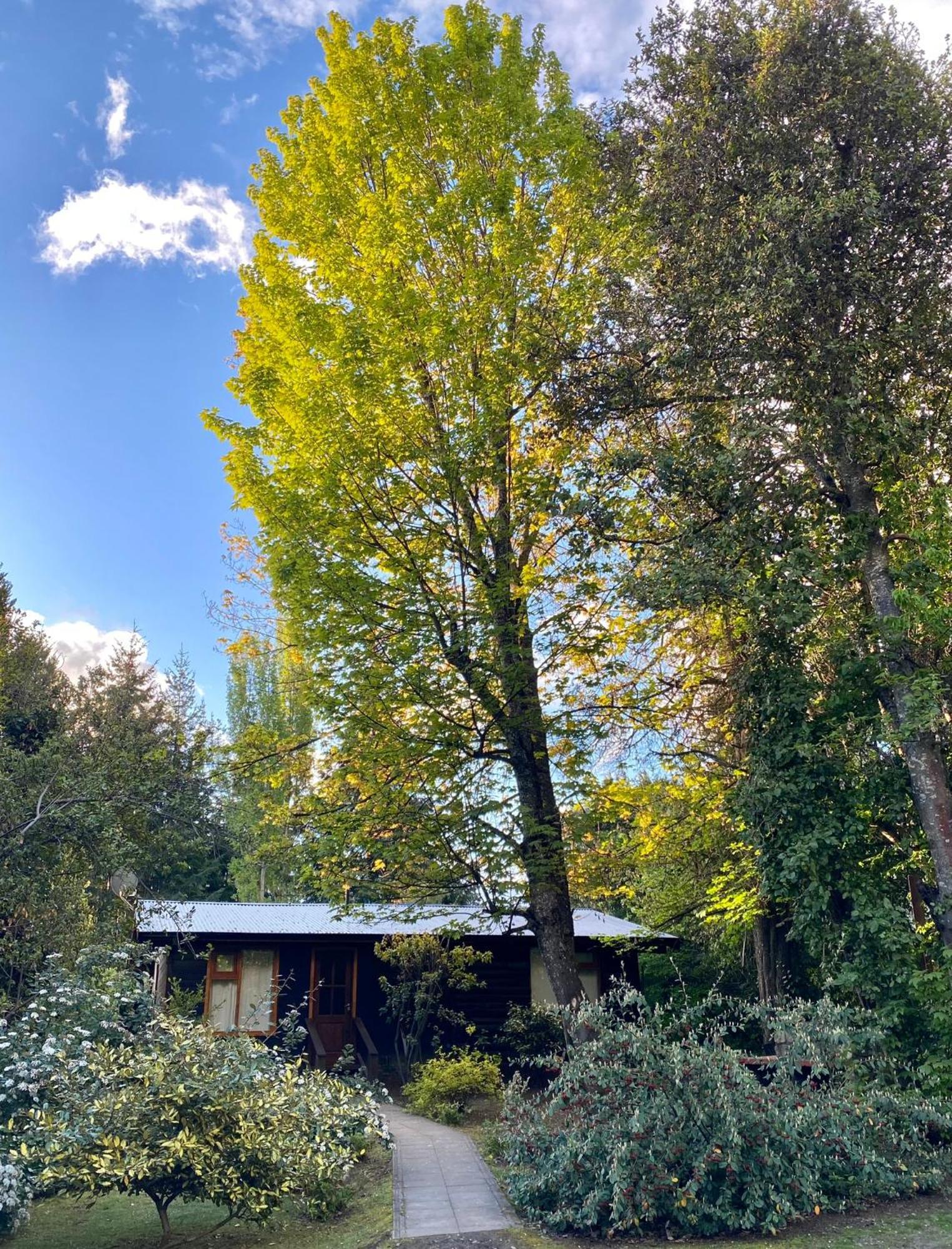 Altos Del Sur Cabanas De Montana 埃博森 外观 照片