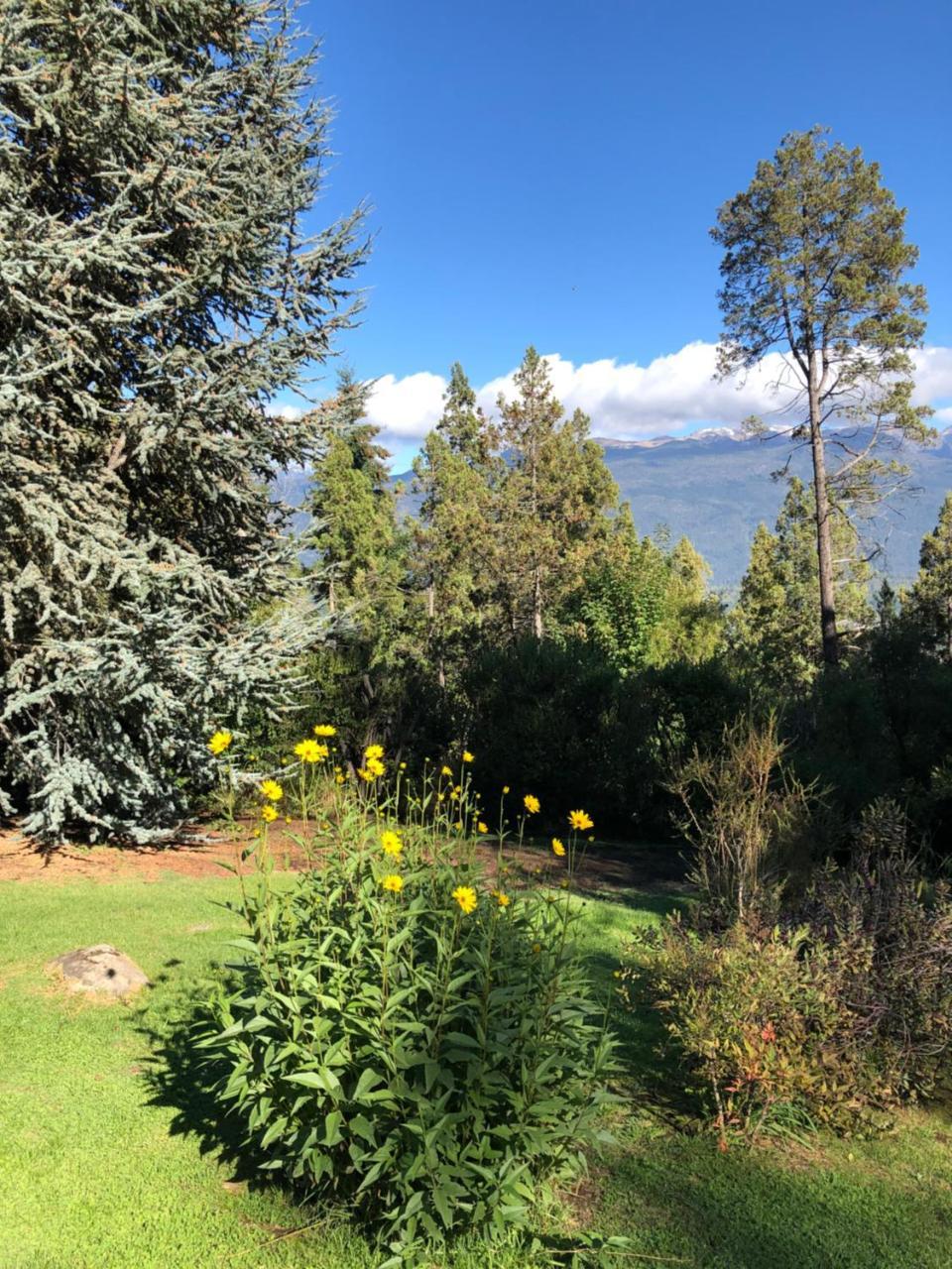 Altos Del Sur Cabanas De Montana 埃博森 外观 照片